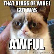 Grumpy Cat wine meme - www.blancdeblancs.fi
