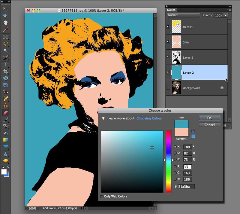 PopArt PhotographyEmmaLihou Pop Art Techniques