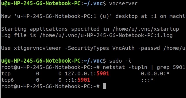 vnc server ubuntu 18.04 vnc server ubuntu 18.04