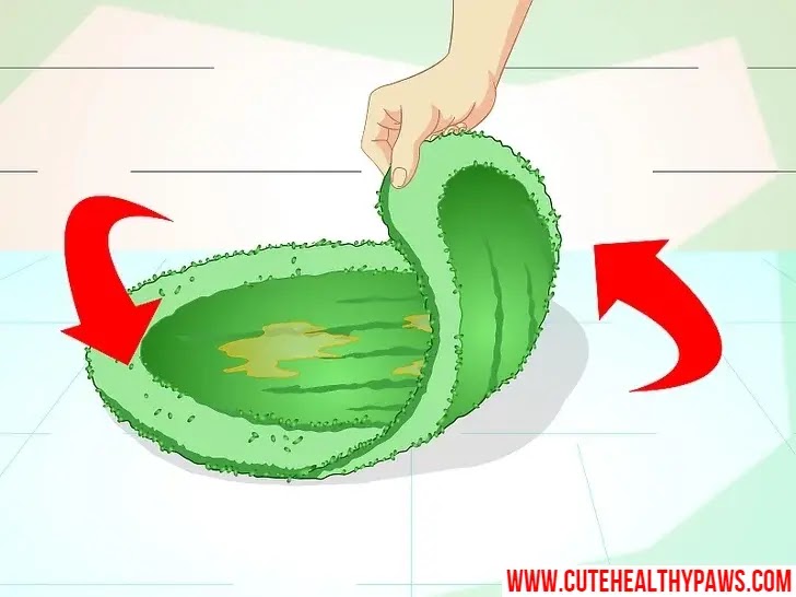 how do i stop my cat from peeing everywhere Cute Healthy Paws