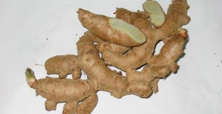 obat alami ambeien luar