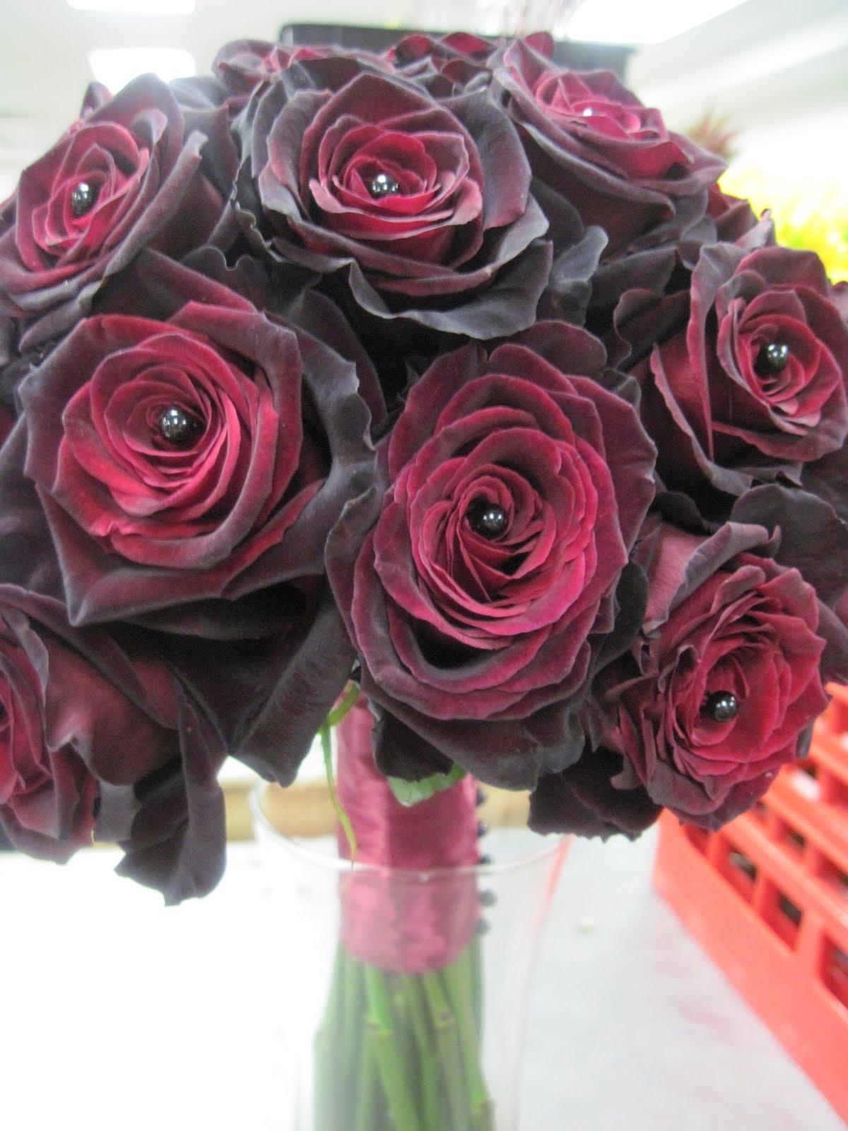 The Belle of Cowbell The Bipolar Therapist from Willow Grove, PA