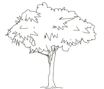 How to draw mango tree easy step by step for kids