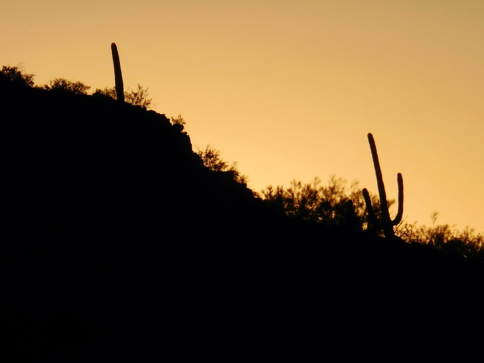 Exploring the American West Tumamoc Hill November 8 2014