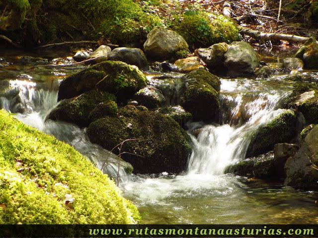 Arroyo en el Monte Saperu