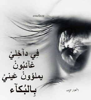 9c59be90eac0c4d57c2bd3bc2b1dd7b4