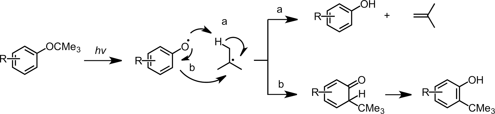 とある化学の超ガテン系 tertブチル基の化学 (2)