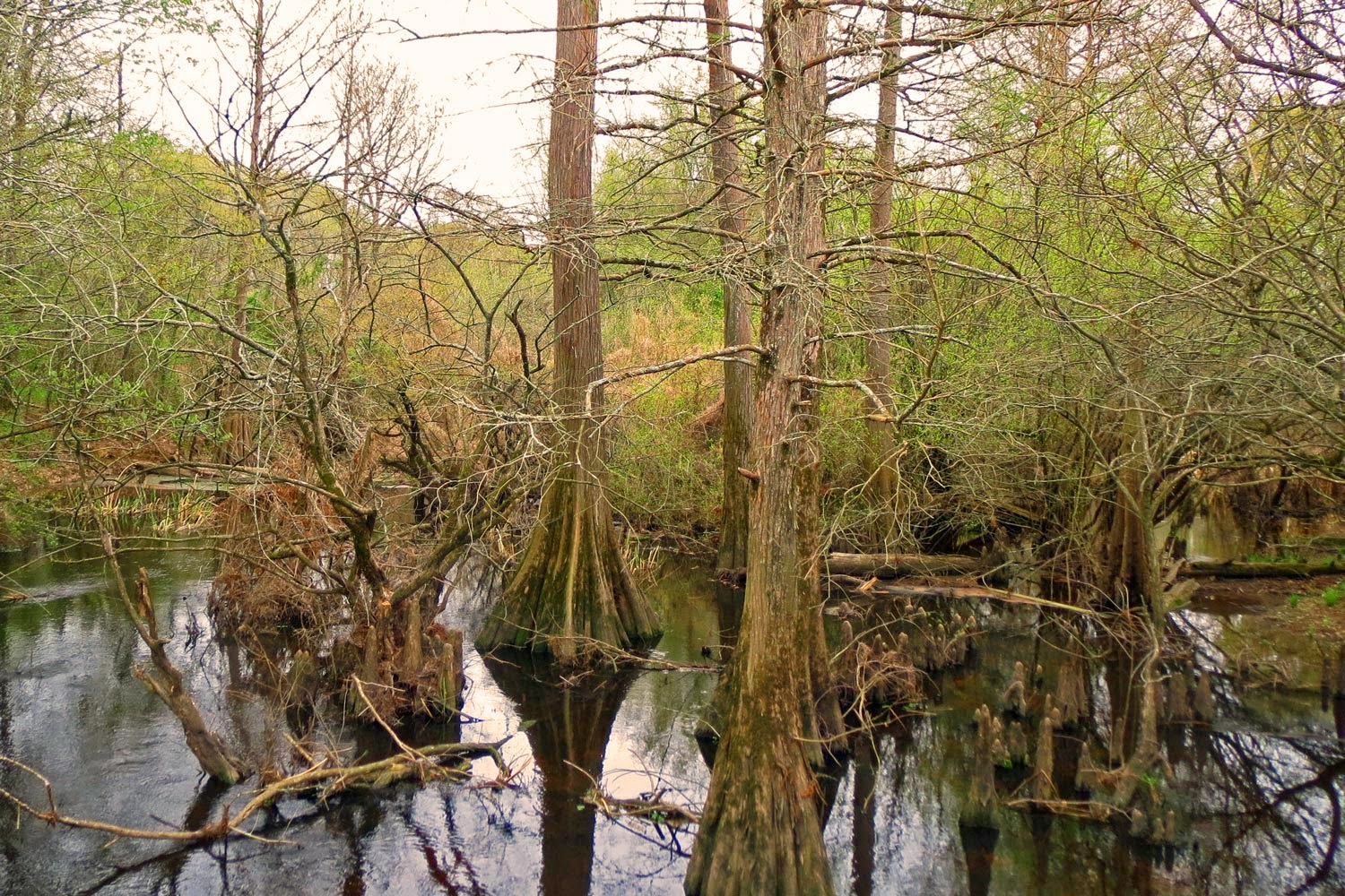 An Arkies Musings Pond Creek National Wildlife Refuge