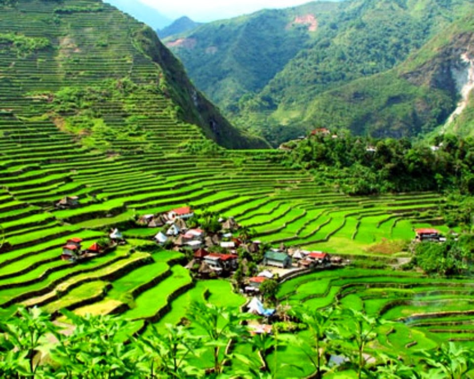 Banaue Rice Terraces Ideas To Chill Banaue Rice Terraces Ideas To Chill