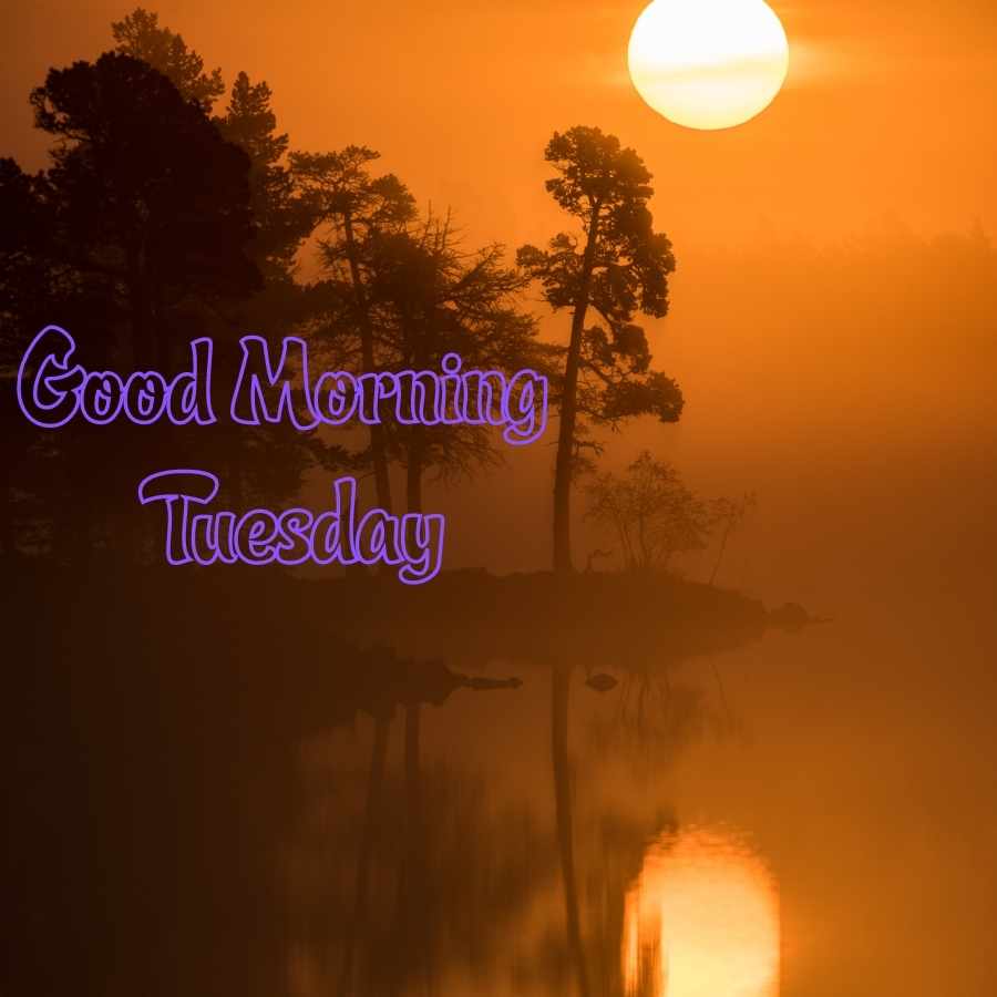 happy tuesday good morning images