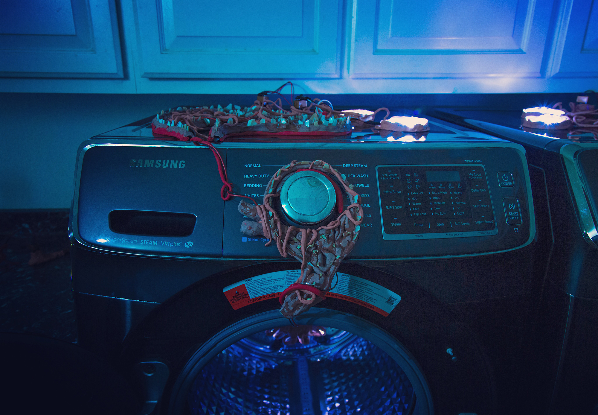 Daily Lazy Andy Ralph at Washer Dryer Projects / Salt Lake City