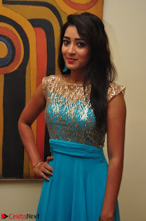 Bhanu Tripathi in Sleeveless Floor Lenght Anarkali gown At Desire Exhibition Launch 002