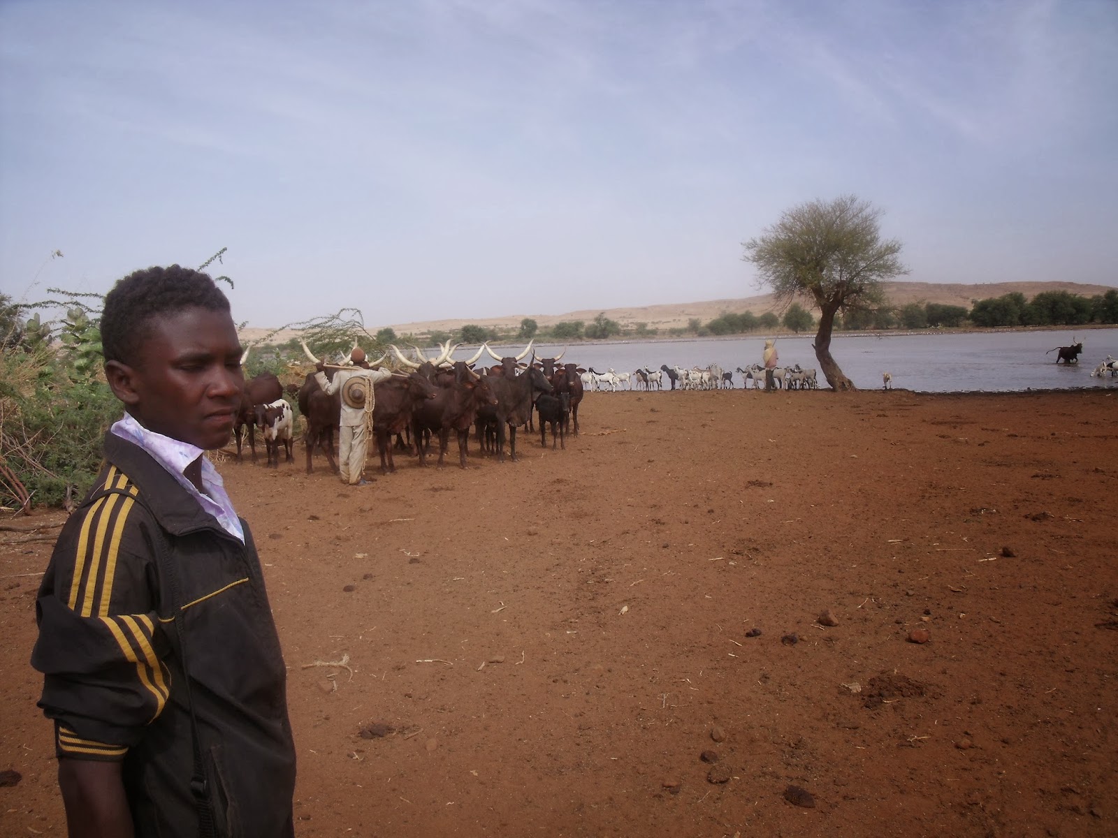 isalan ''EEN WERELD VAN VERSCHIL''