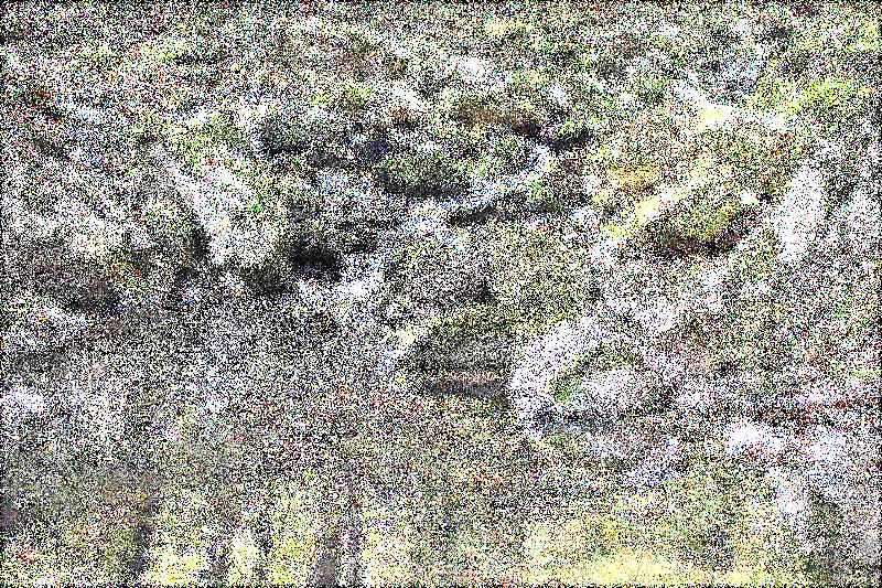 순천 조계산 선암사 순천 조계산 선암사