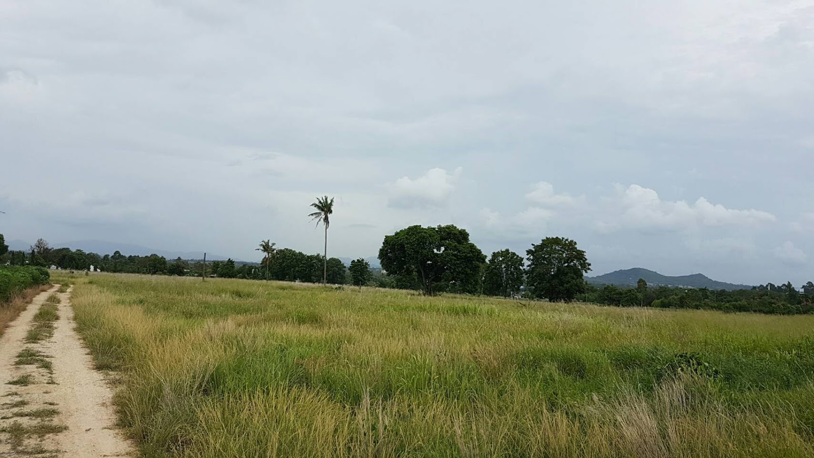 Land and Beachfront for sale in Pattaya Land for sale 22 Rai in