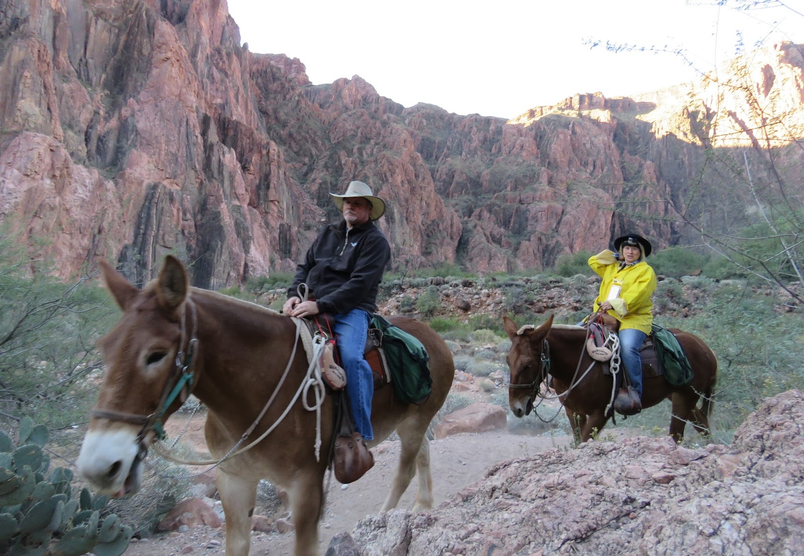 Where's Liz? 2016: Grand Canyon Mule Trip...a Day at Phantom Ranch