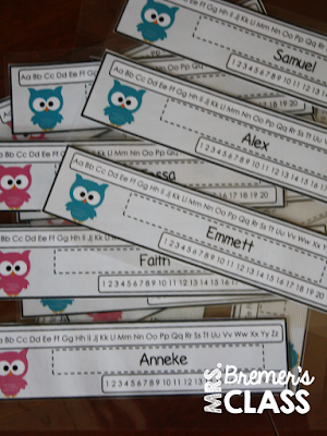 FREE owl themed nameplates for your classroom!