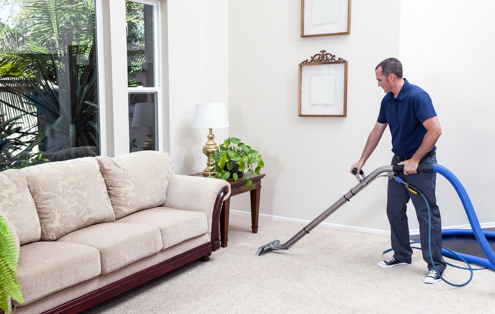 Specialist Carpet Cleaning Providers