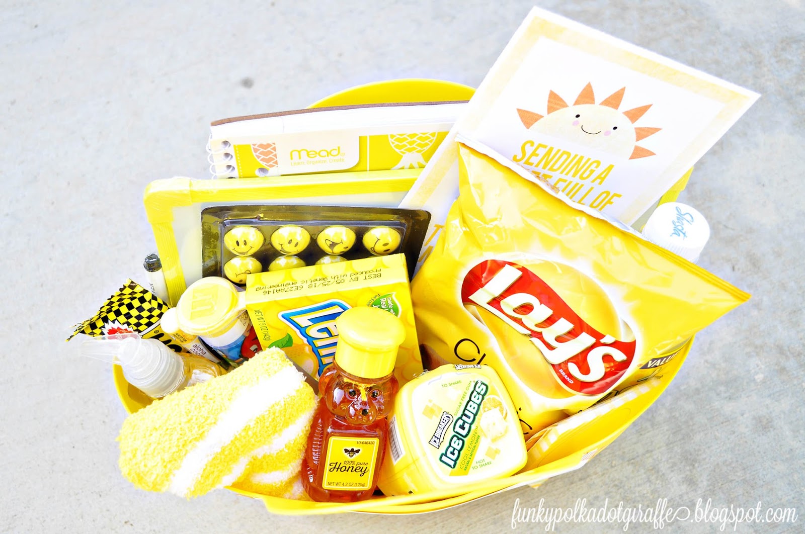 Funky Polkadot Giraffe Basket of Sunshine Gift with Printables