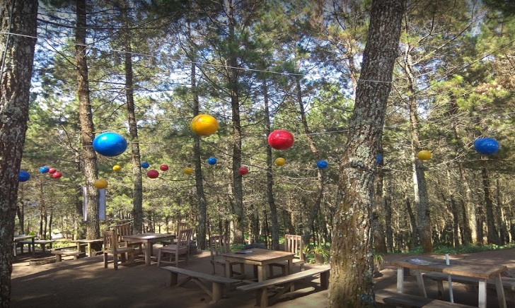 Kamojang Ecopark Review Harga Tiket Masuk Fasilitas Kamojang Ecopark Review Harga Tiket Masuk Fasilitas