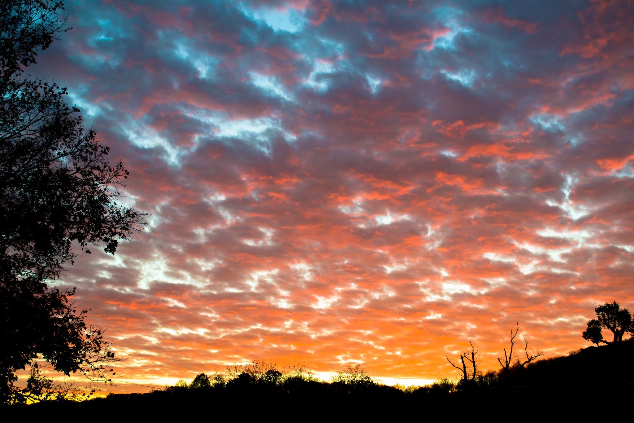 The Big Stone Gap Guide to Help you Celebrate Valentine's Day!