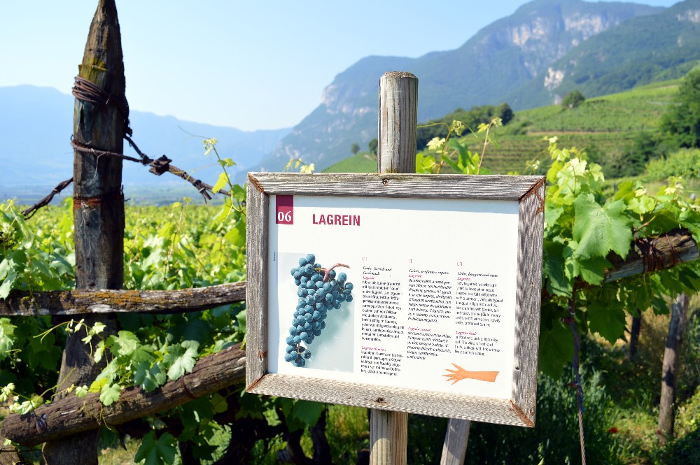 La strada del vino dell'Alto Adige