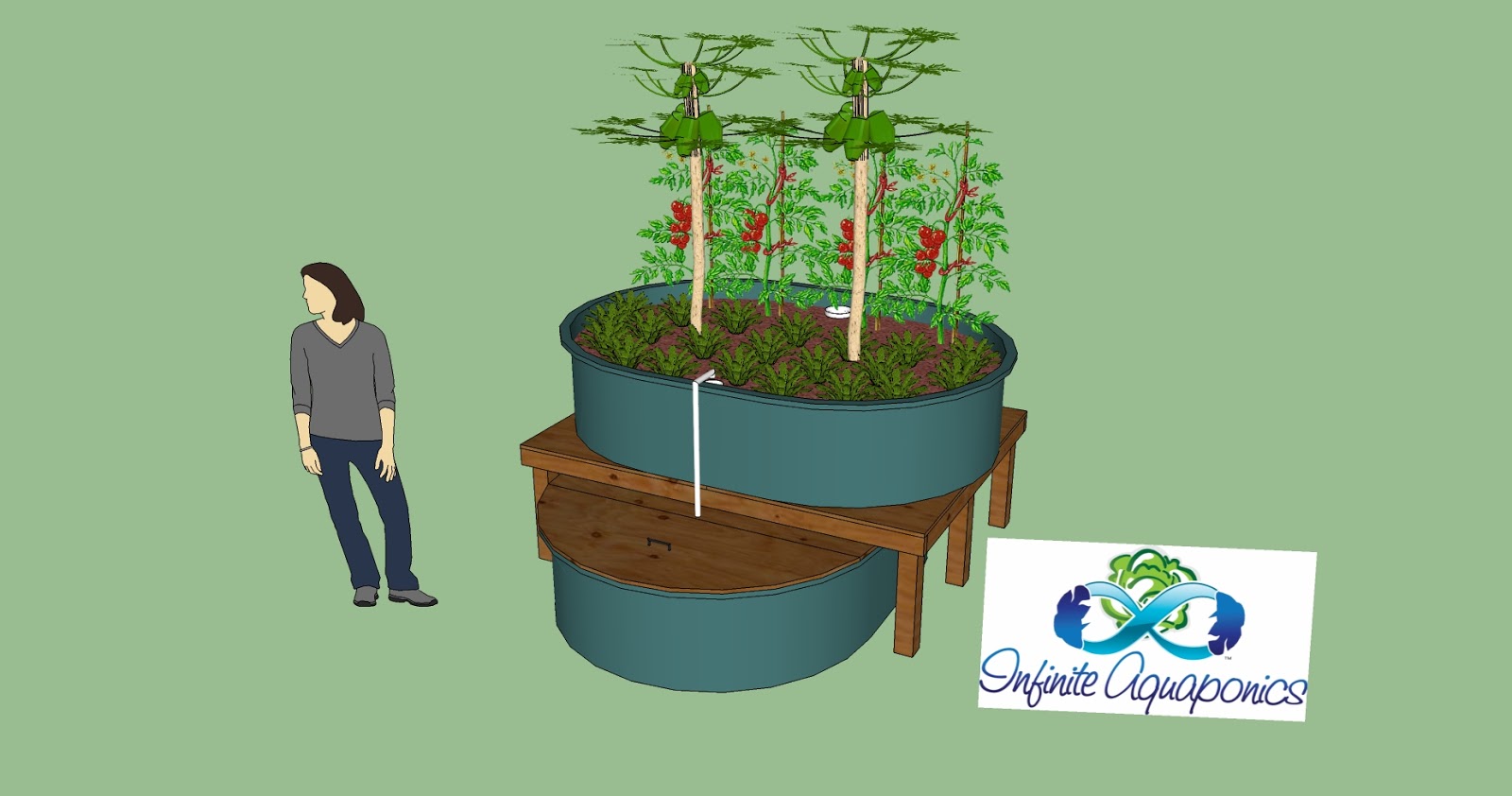 Today Aqua Buy Aquaponics stock tank