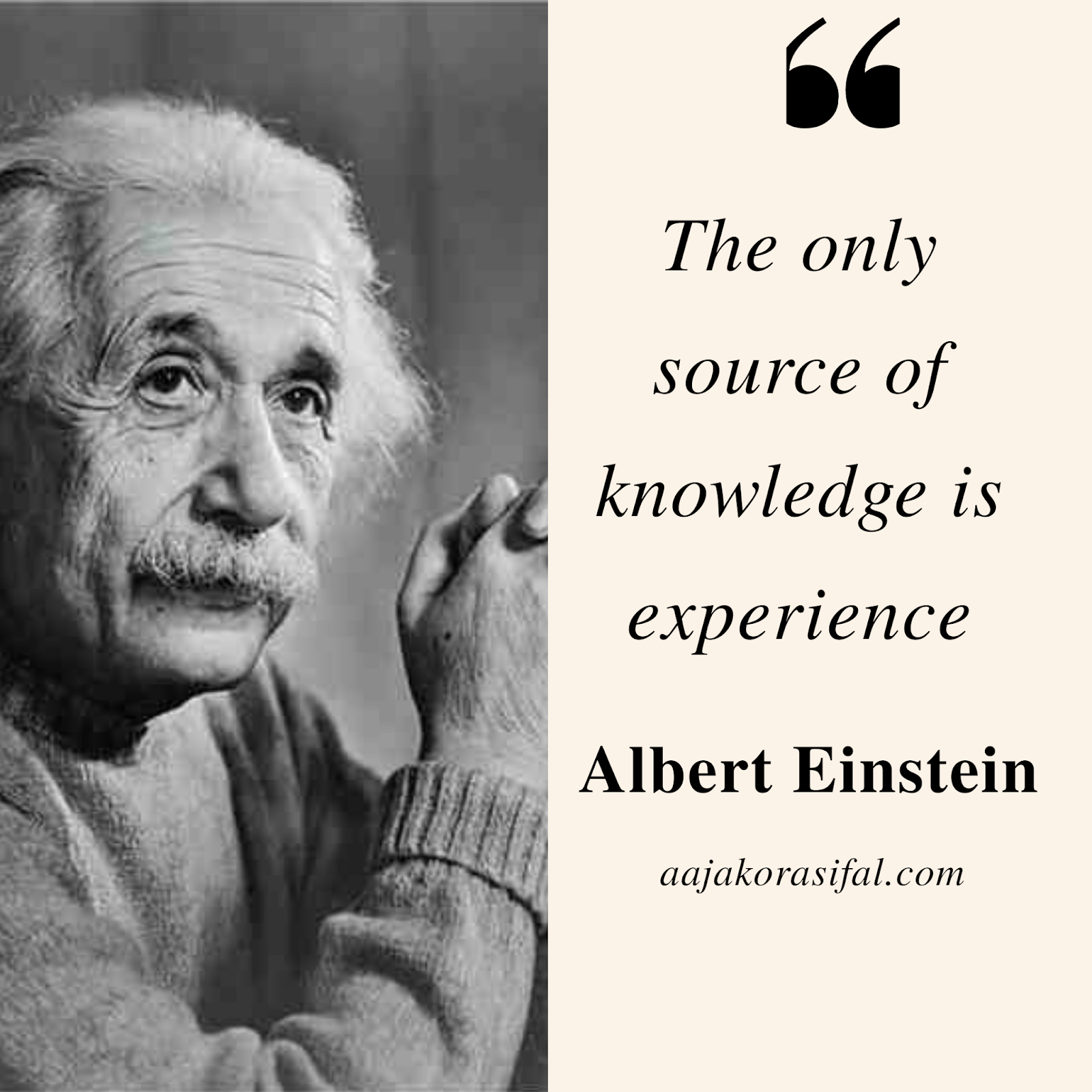 Motivating Albert Einstein Quotes