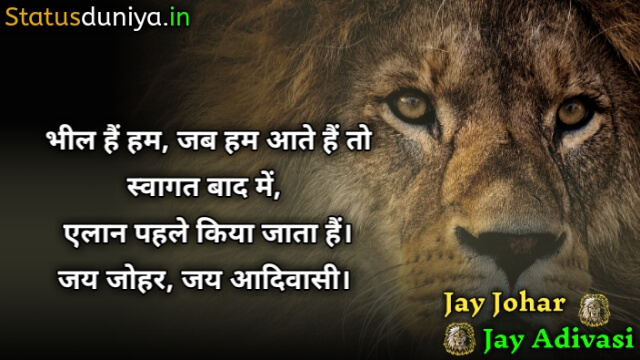 जय आदिवासी भील शायरी स्टेटस फोटो डाउनलोड
Bhil Shayari
Jay Johar Adivasi Bhil Shayari Status Photos Download
Bhil Adivasi Attitude Shayari
जय आदिवासी स्टेटस
आदिवासी शायरी डायलॉग
आदिवासी समुदाय का स्टेटस
भील की शायरी फोटो
भील शायरी फोटो डाउनलोड
भील राजा फोटो शायरी स्टेटस
आदिवासी फोटो शायरी
आदिवासी शेर शायरी भील फोटो
आदिवासी गुजराती भील शायरी
आदिवासी भील स्टेटस इन हिंदी
Jay Adivasi Bhil Shayari Status Photo Download
आदिवासी ऐटिटूड शायरी
भील शायरी फोटो डाउनलोड