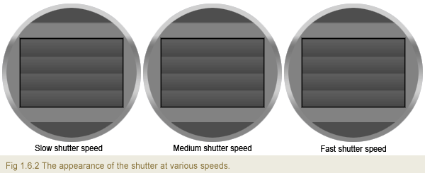 Https Encrypted Tbn0 Gstatic Com Images Q Tbn 3aand9gctjfuzlnfyuffpq Tcgiwviy8ulfbouidwukszdptw7g7k Pxxw