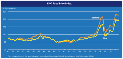 Food Prices Still Elevated thumbnail