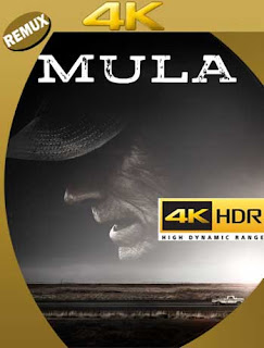 La Mula (2018) 4K REMUX 2160p UHD [HDR] Latino [GoogleDrive] 