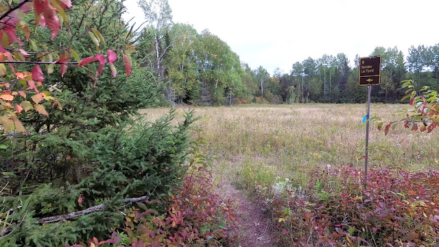 Vue à partir du Sentier du Fjord