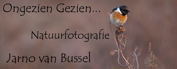 Jarno van Bussel Fotografie