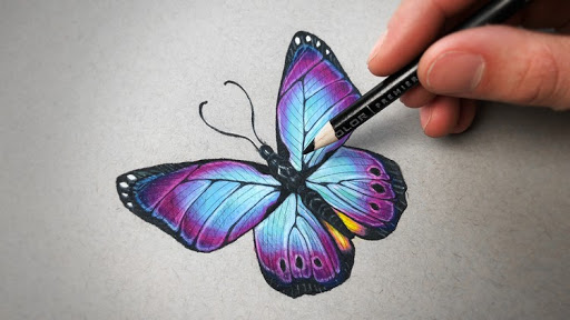 The Colored Pencil drawing Course - Beginner to Advanced [100% Off]