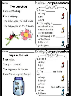 READING COMPREHENSION WORKSHEETS FOR KINDER-GR1 - The Teacher's Craft