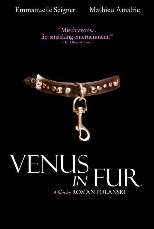 Ver La Venus de las pieles 2013 Online Audio Latino Pelicula Completa