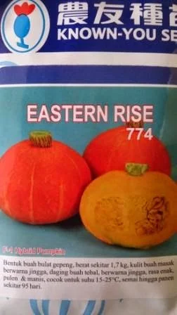 Waluh Orange, Waluh Jingga, Waluh Eastern Rise, Known You Seed,perawatan mudah,  rasa manis, daging tebal, kulit jingga,