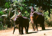 Elephant ride in Myanmar