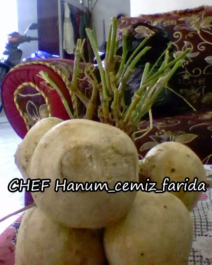 LUMPIA BENGKUANG / JICAMA SPRING ROLL Chef HANUM, RF