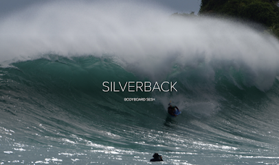 SILVERBACK BODYBOARD SESH