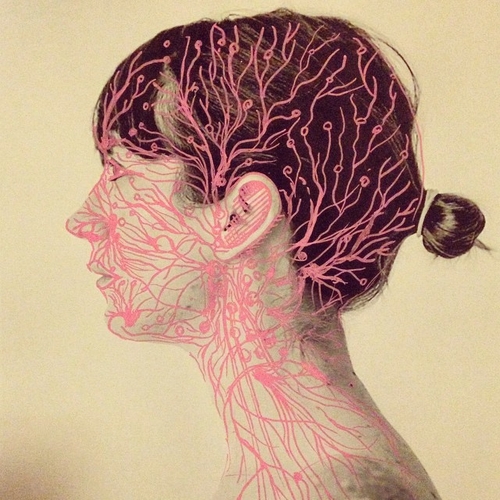 15-Scheme-Juana-Gómez-Embroidered-Anatomy-exposing-Internal-Physiology-www-designstack-co