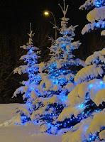 Blue Christmas Trees blue holiday decor