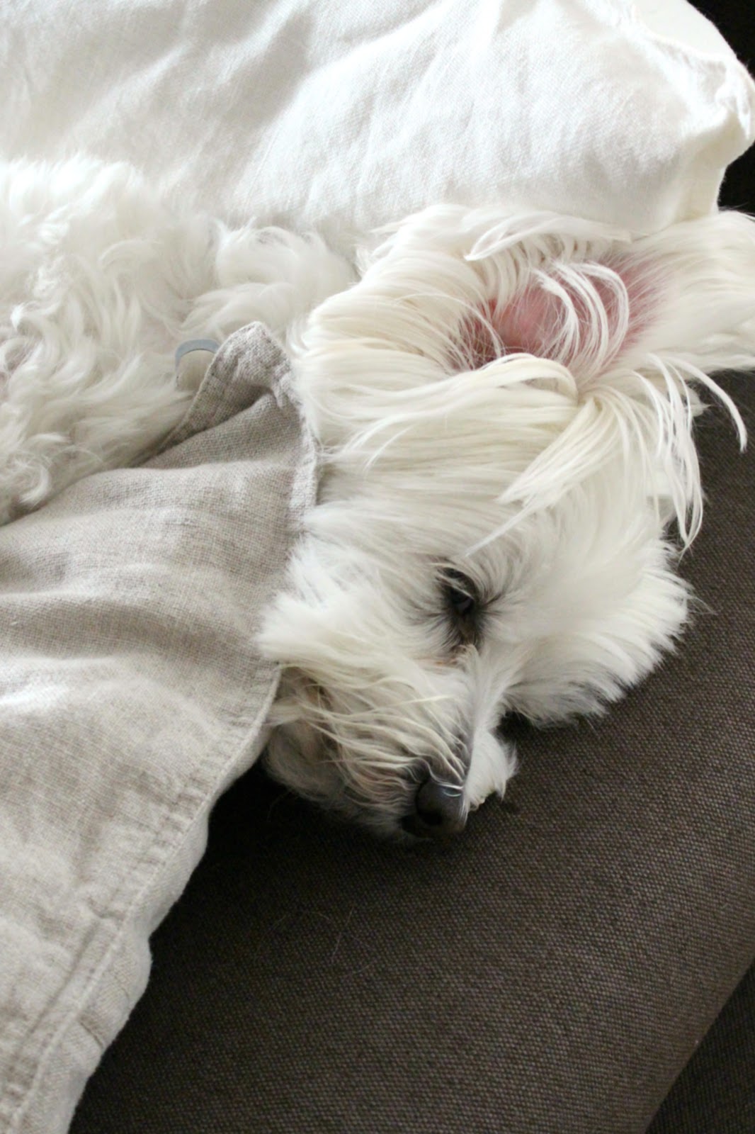 HIMMELSSTÜCK | Interior und Lifestyle Blog