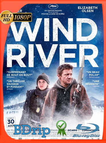 Viento salvaje (Wind River) (2017) BDRIP 1080p Latino Dual [GoogleDrive] TeslavoHD