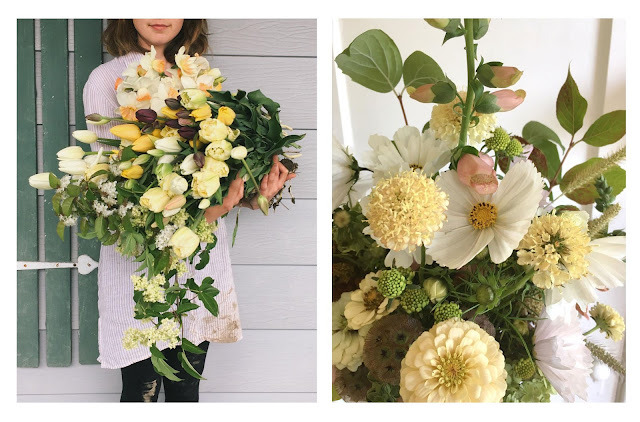 Les 52 Meilleures Images De Fleur Rose Rouge Fleur Rose Rouge