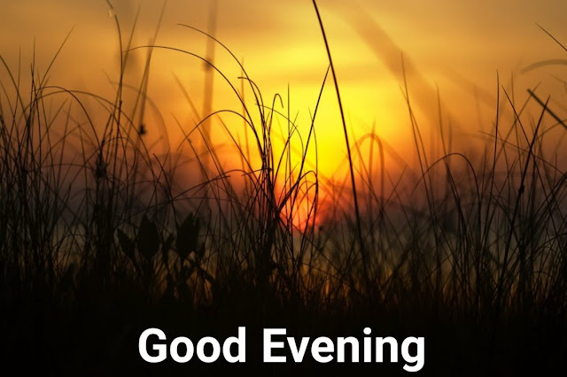 good evening wishes images