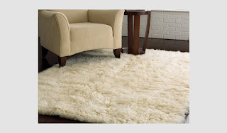 Best Size Area Rug For Living Room