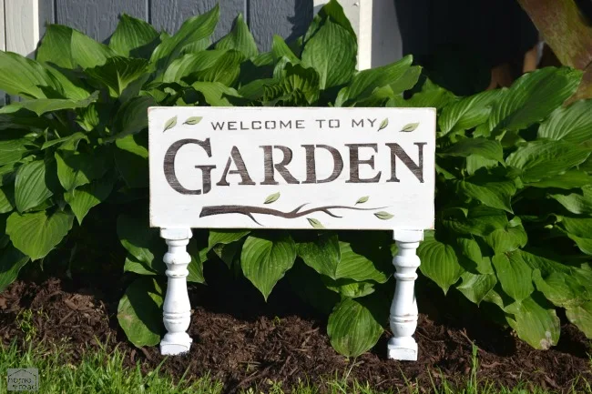 White garden sign in front of hosta