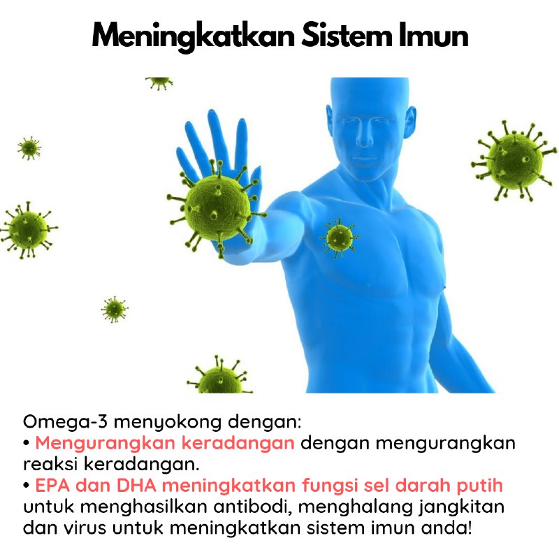 Manfaat Omega 3 Yang Penting Untuk Tubuh Badan Kita
